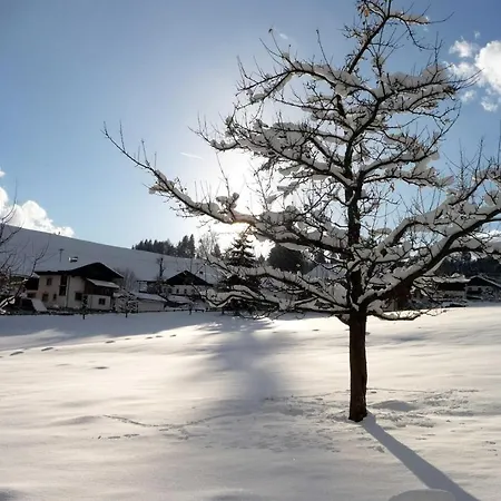 Alpenblick