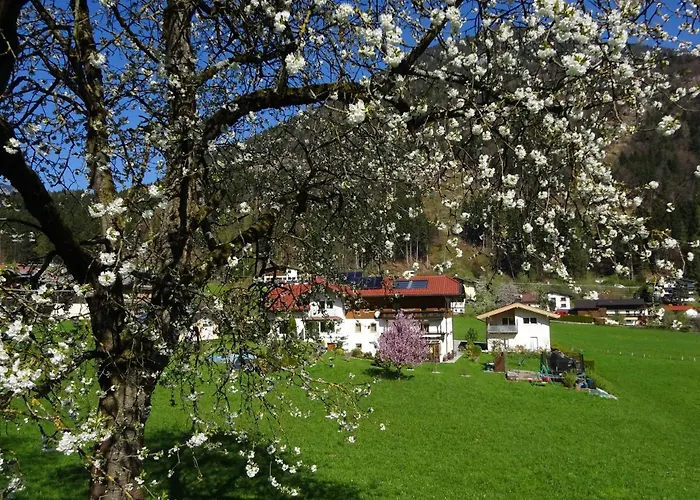 Appartamento Alpenblick